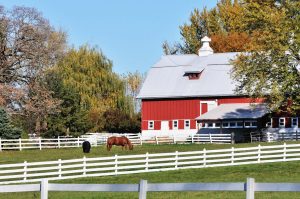 Seacoast Equine - The Best Equine Veterinarian in New Hampshire and Maine